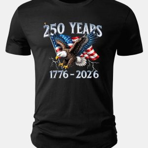USA 250th Anniversary Print Cotton Arc Hem T-Shirt